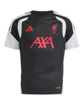 Camiseta Liverpool | Entrenamiento