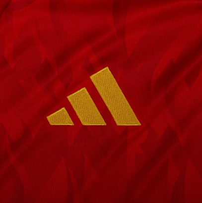 Camiseta Bélgica Mundial 2026 | Local