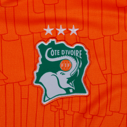 Camiseta Costa de Marfil Mundial 2026 | Local