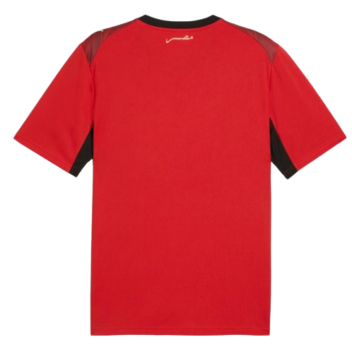 Camiseta Egipto Mundial 2026 | Local