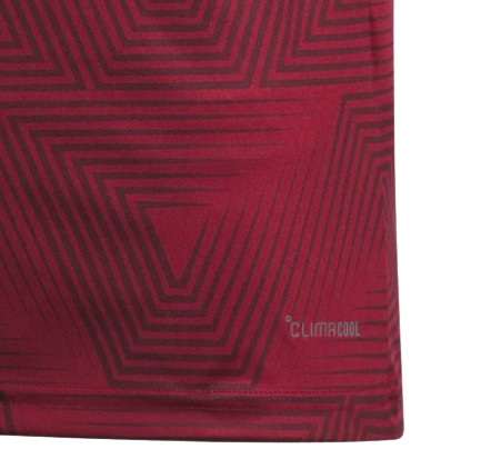 Camiseta Venezuela 2026 | Local