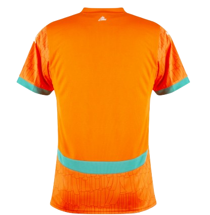 Camiseta Costa de Marfil Mundial 2026 | Local