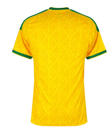 Camiseta Sudáfrica Mundial 2026 | Local