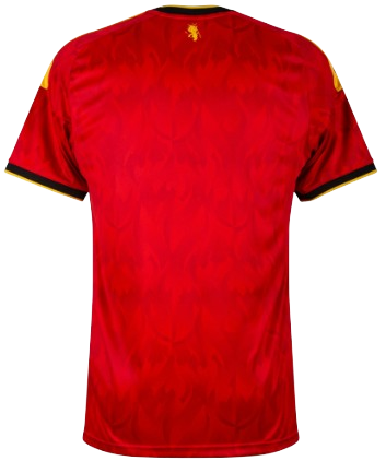 Camiseta Bélgica Mundial 2026 | Local