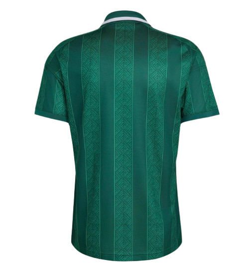 Camiseta Sudáfrica Mundial 2026 | Visitante