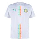 Camiseta Senegal Mundial 2026 | Alternativa