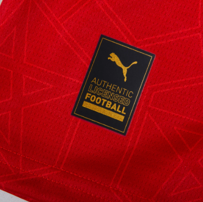 Camiseta Marruecos Mundial 2026 | Local
