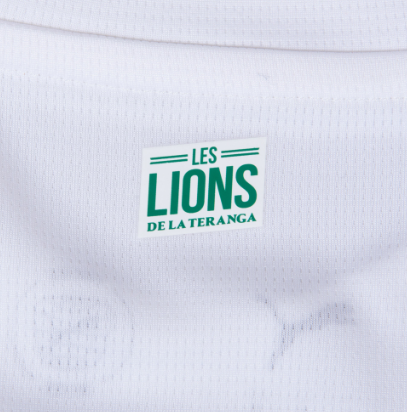 Camiseta Senegal Mundial 2026 | Alternativa