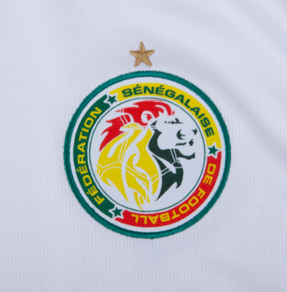 Camiseta Senegal Mundial 2026 | Alternativa