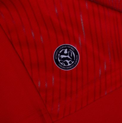 Camiseta Suiza Mundial 2026 | Local